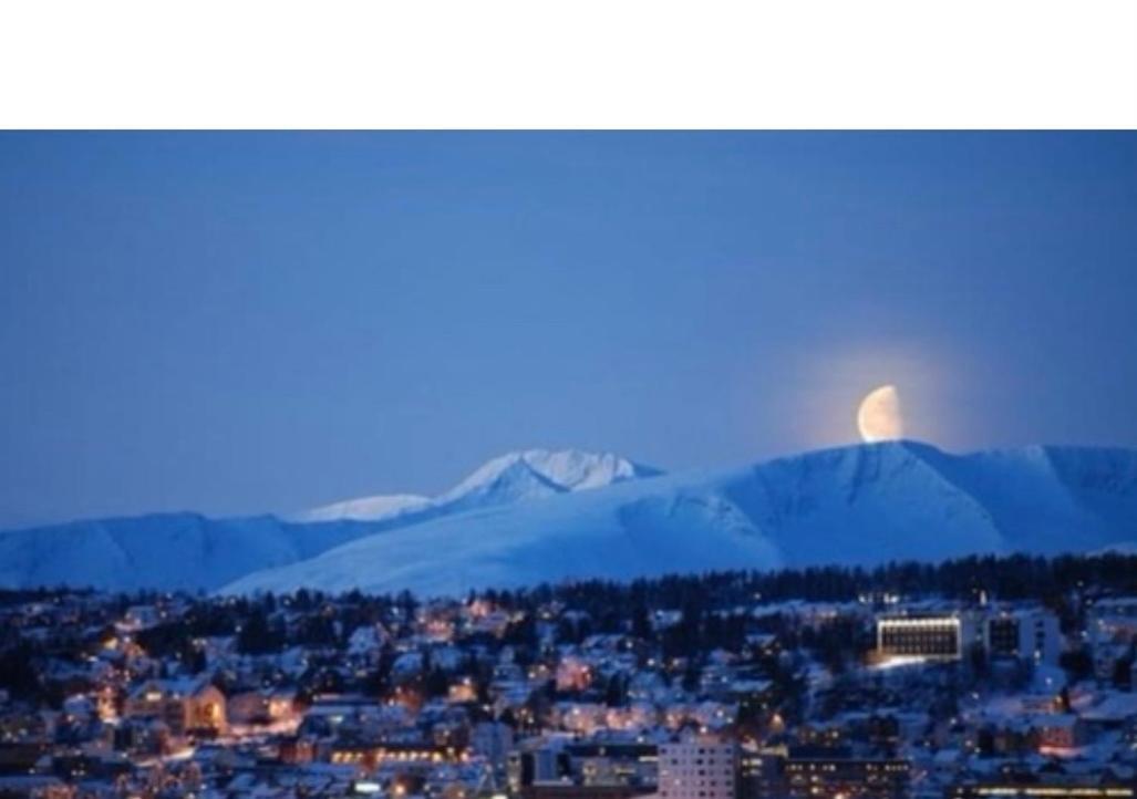 Polar Cozy Apartment - With View And Free Parking Tromso Exterior photo